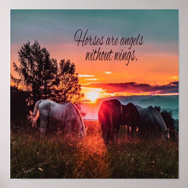 Pferde sind Engel ohne Flügel Poster (Vorne)