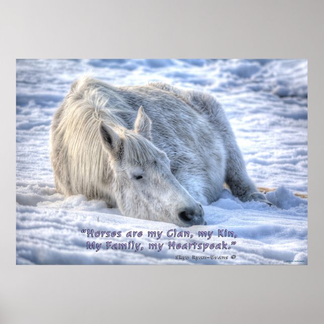 Pferde sind meine Clan Quote Mare Asleep Motiviere Poster (Vorne)