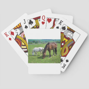 Pferde Spielkarten