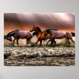 Pferde Stallion am Beach Foto Naturewall Poster