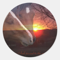 Pferde Sunrise