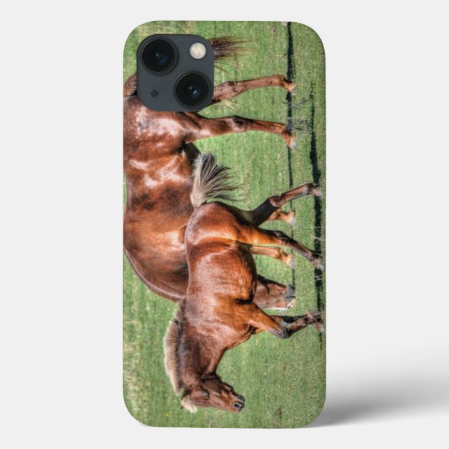 Pferde - Thema "Amerikanischer Western" Case-Mate iPhone Hülle (Rückseite)