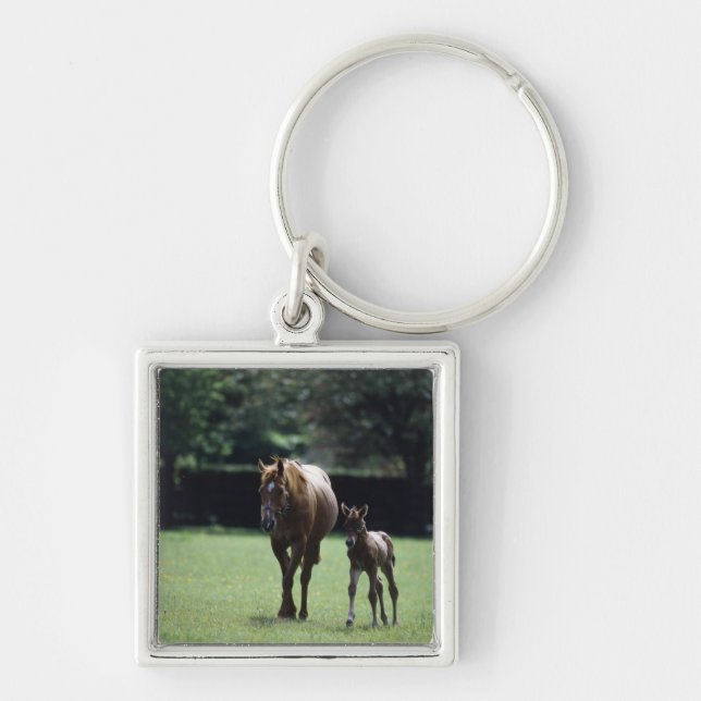 Pferde - Thoroughbred, Stute und Fohlen, Schlüsselanhänger (Vorne)