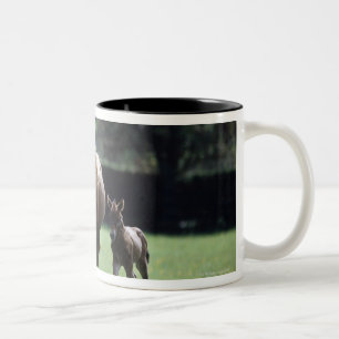 Pferde - Thoroughbred, Stute und Fohlen, Zweifarbige Tasse
