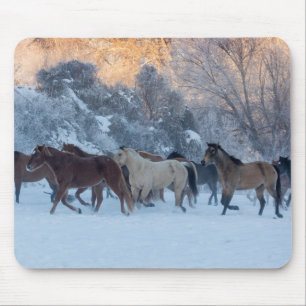 Pferde-Treck im Winter auf der Hideout Ranch Mousepad