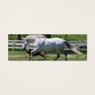 PFERDE-U. HUNDEumarmungs-LEBEN