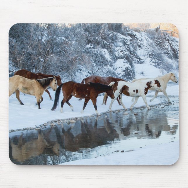 Pferde überqueren den Bach Mousepad (Vorne)