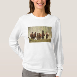 Pferde überqueren einen kleinen Hügel während des T-Shirt