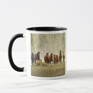 Pferde überqueren einen kleinen Hügel während des Tasse
