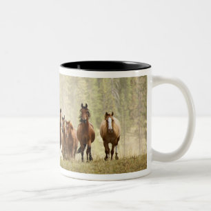 Pferde überqueren einen kleinen Hügel während des  Zweifarbige Tasse