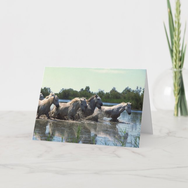 Pferde überqueren Wasser Karte (Vorderseite)