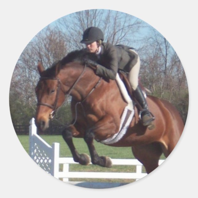 Pferde und Aufkleber zum Springen anzeigen (Vorderseite)