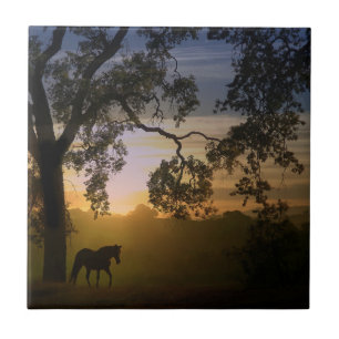 Pferde und Eichenbaum im Südwesten des Sonnenunte Fliese