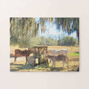 Pferde und ein Donkey - Bauernleben - Puzzle