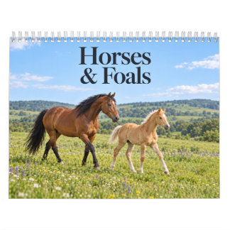 Pferde und Fohlen Landschaften Kalender