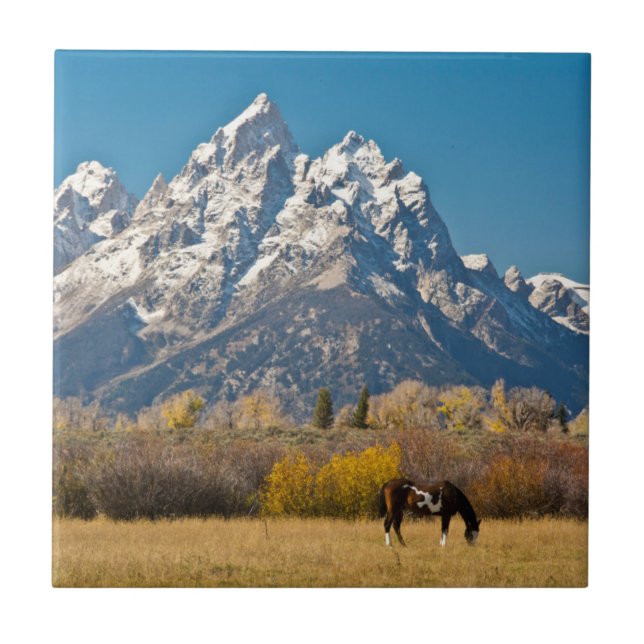 Pferde und Grand Tetons, Elchkopfranke Fliese (Vorderseite)