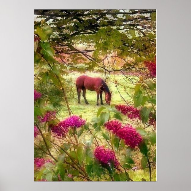 Pferde und Lilacs Poster (Vorne)