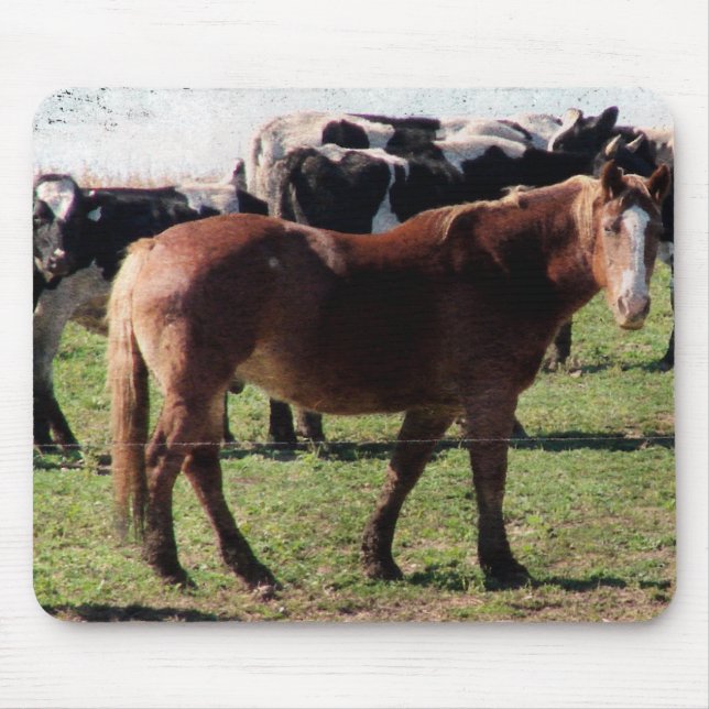 Pferde- und Milchrinder Mousepad (Vorne)