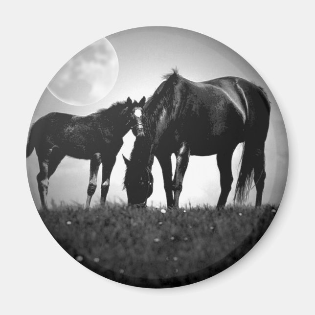 Pferde und Mond Magnet (Vorne)