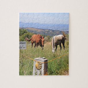 Pferde und Muschelmarkierungsposten, EL Camino, Puzzle