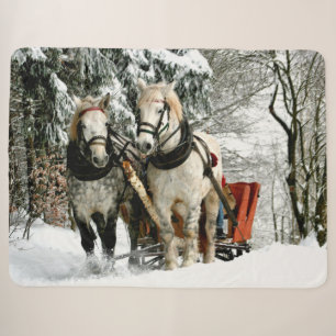 PFERDE UND SCHNEE IM SCHNEE SHERPADECKE