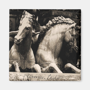 Pferde von Florenz, Italien Magnet