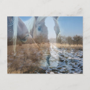 Pferde Wintergruss Postkarte