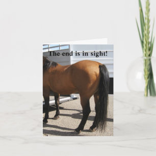 Pferdeanhänger - Änderung der Anschrift des Wester Ankündigung