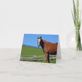 Pferdeanmerkungs-Karte Karte