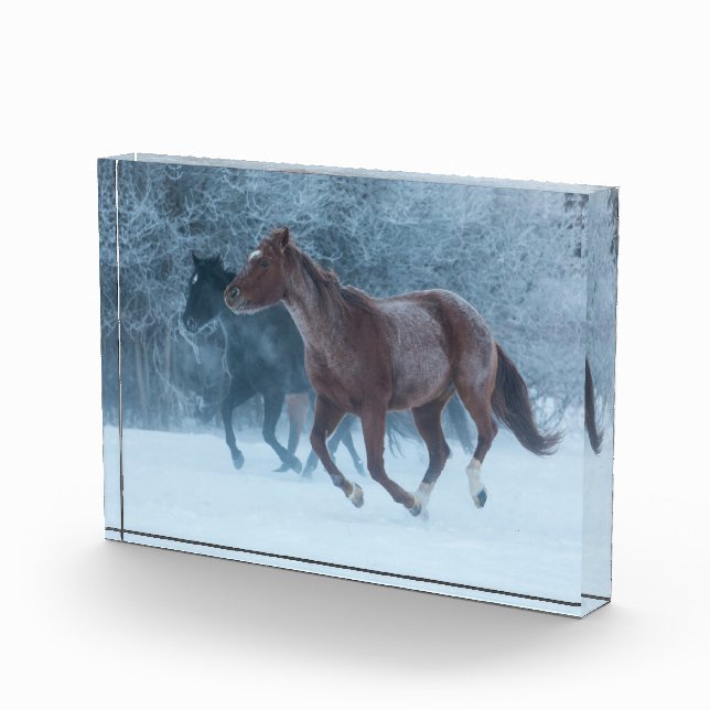 Pferdeantrieb Fotoblock (Rechts)