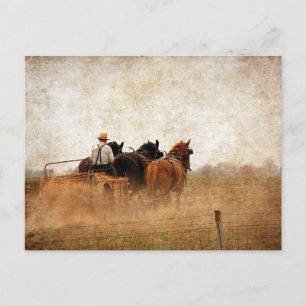 Pferdearbeit Postkarte