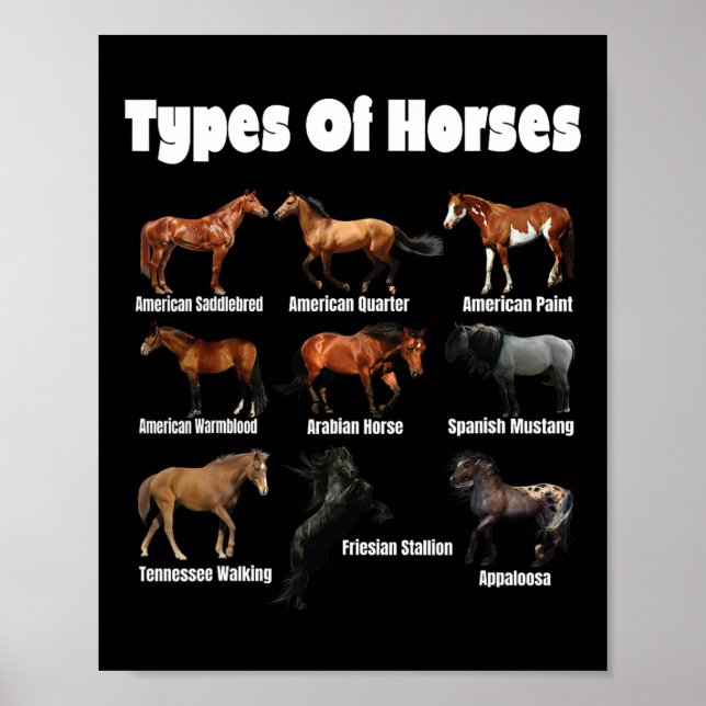 Pferdearten Reitpferde Vintag Poster (Vorne)