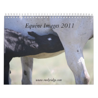 Pferdeartige Bilder 2011 Kalender
