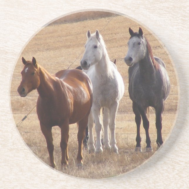 Pferdeartige Neugier 3 Getränkeuntersetzer (Vorne)