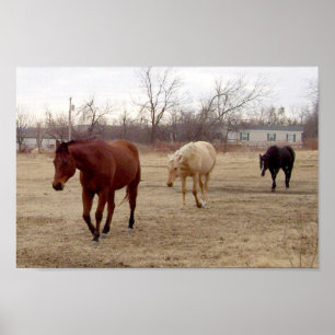 Pferdeartiges Mitläuferplakat Poster