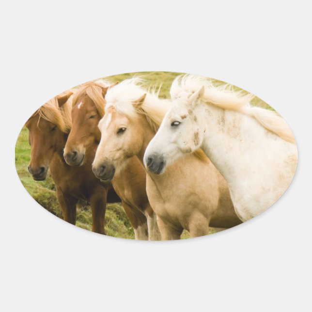 Pferdeaufkleber Ovaler Aufkleber (Vorderseite)