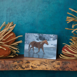 Pferdeauftrieb im Winter auf der Hideout Ranch Fotoplatte