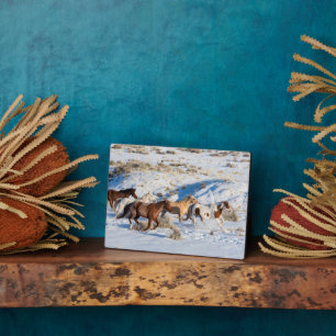 Pferdeauftrieb im Winter auf der Hideout Ranch Fotoplatte