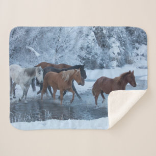 Pferdeauftrieb im Winter Sherpadecke
