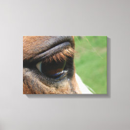 Pferdeauge Leinwanddruck
