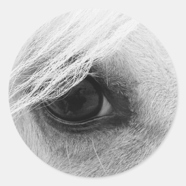 Pferdeaugen in Schwarz und Weiß Runder Aufkleber (Vorderseite)
