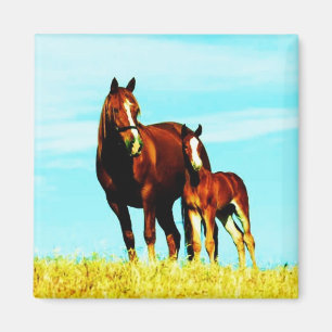 Pferdebauernhof-Tier-Natur-Schicksal Magnet