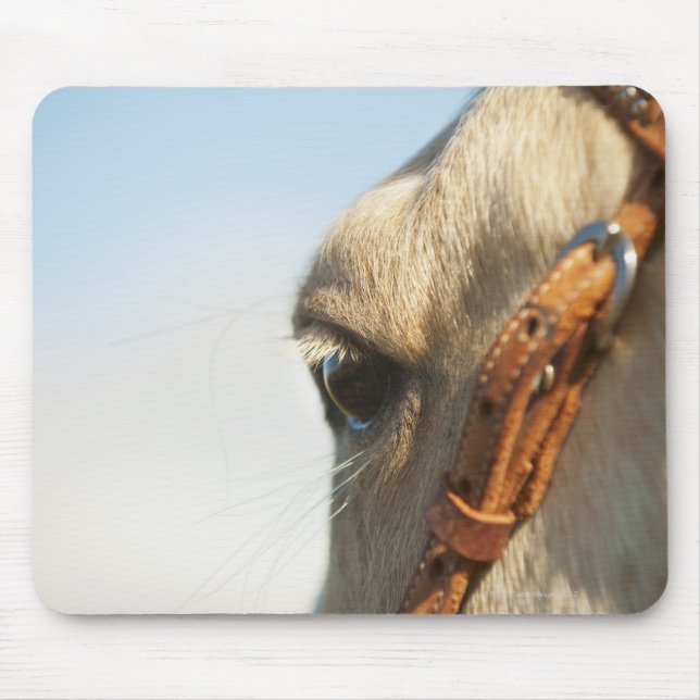 Pferdebrille Mousepad (Vorne)