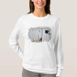 Pferdedas haften gehen heraus Scheunen-Fenster T-Shirt