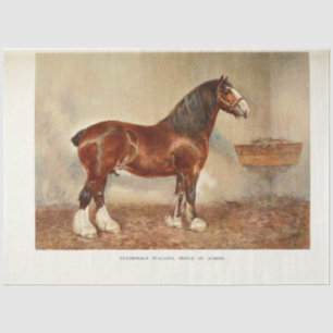 Pferdedekutsche Vintag Clydesdale Seidenpapier