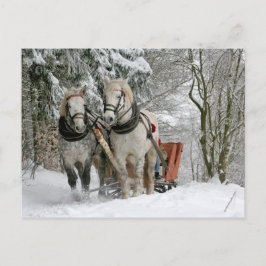 Pferdeentwurf Weihnachten