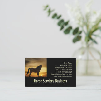 PferdeEquine Services Füttre Tierärztin Visitenkarte