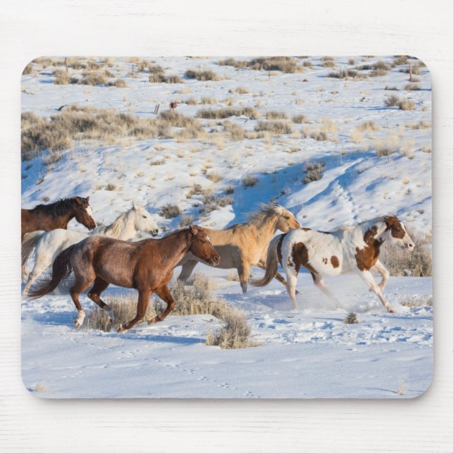 Pferdefahrt im Winter auf der Hideout Ranch Mousepad (Vorne)