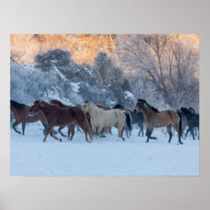 Pferdefahrt im Winter auf der Hideout Ranch Poster