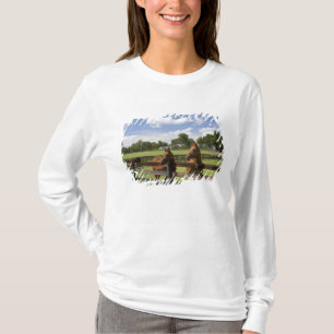 Pferdefarm in Marion Landkreis, T-Shirt